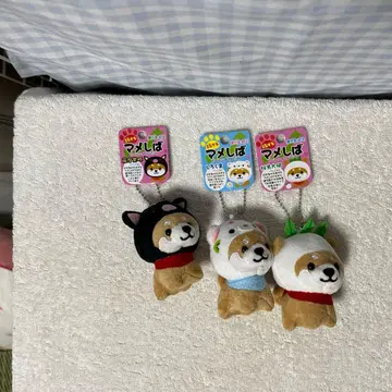 여행하는 마메시바 가고시마 한정판