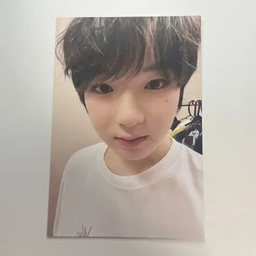 NCT WISH songbird 엽서 증정회 사쿠야