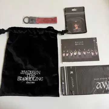 &TEAM AWAKEN THE BLOODLINE 앙콘 업그레이드 사이타마