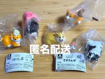 코기 산책 시바 생활 2 가챠 묶음 판매