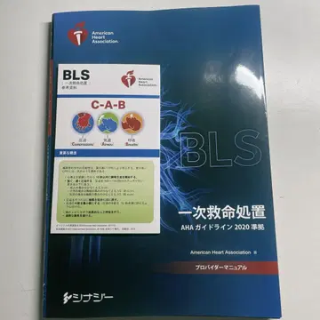 BlS 프로바이더 매뉴얼 2024