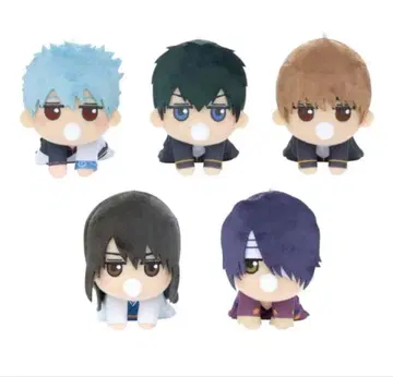 은혼 아기 봉제 인형 전 5종 풀 컴프 세트