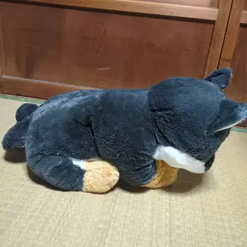흐물흐물 시바견 봉제 인형