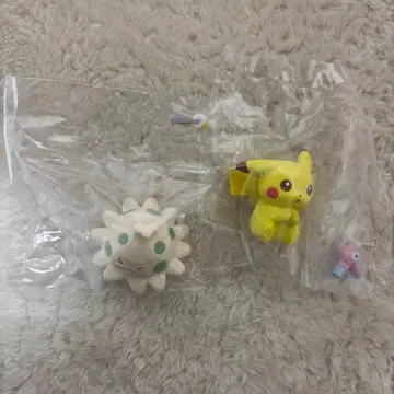 포켓몬 센터 한정판 버섯 피카츄 가챠가챠 관리해주세요