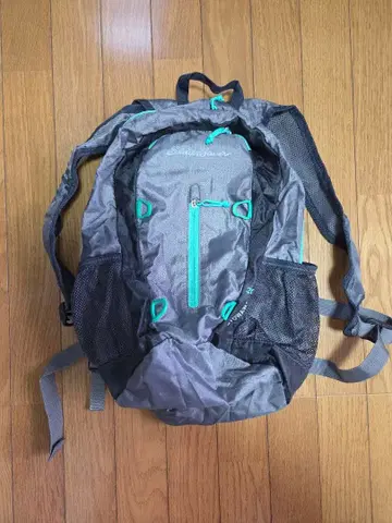Eddie Bauer 20L 패커블 백팩