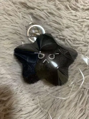 NCT 127 도영 불가사리 키링