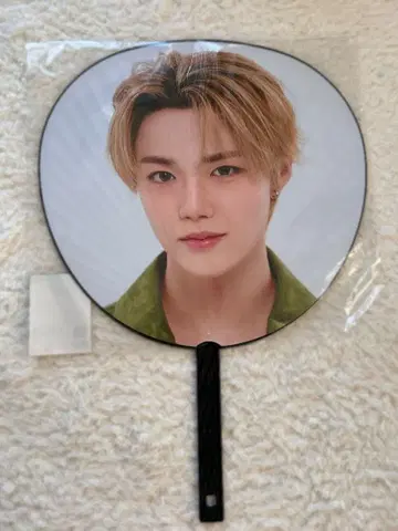 Doyoung PULSE OA 부채
