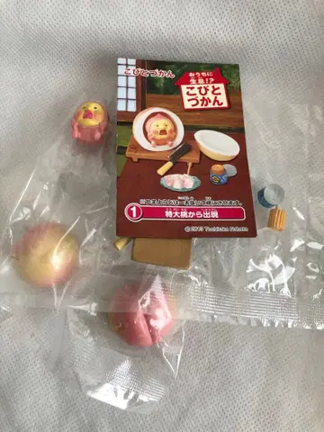 코비토즈칸 리멘트 카쿠레모모지리 오우치니 생식 코비토즈칸