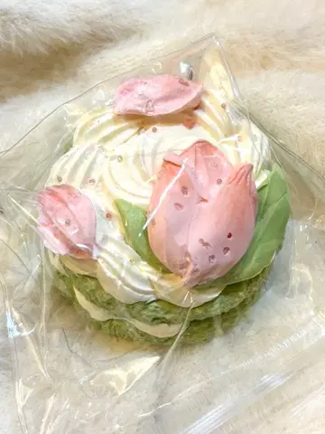 튤립 케이크 스퀴즈 타바스코 스퀴즈 찰찰