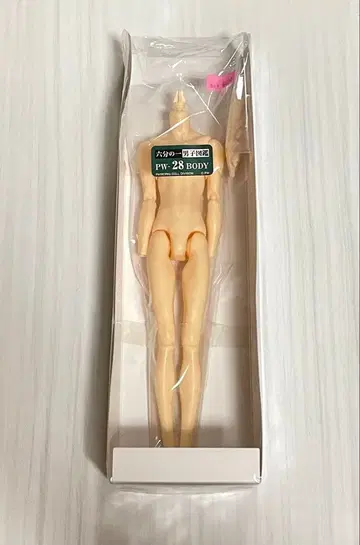 [미개봉 새상품] 육분의일 남자 도감 에이트 바디