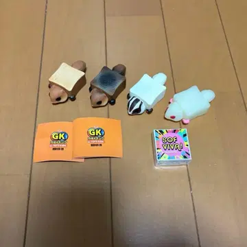 파팡가 sofviva! 캡슐 토이