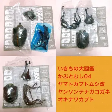 생물대도감 장수풍뎅이04 야마토장수풍뎅이 개량 얀손테나가 오키나와