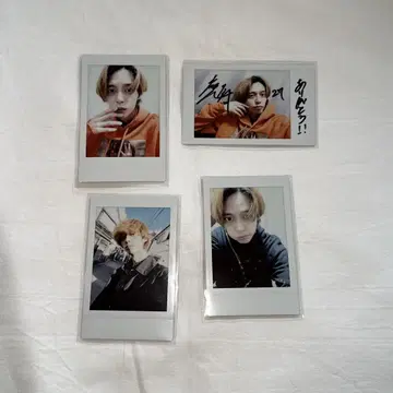 쿠리하라 타이거 폴라로이드