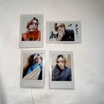 쿠리하라 타이거 폴라로이드
