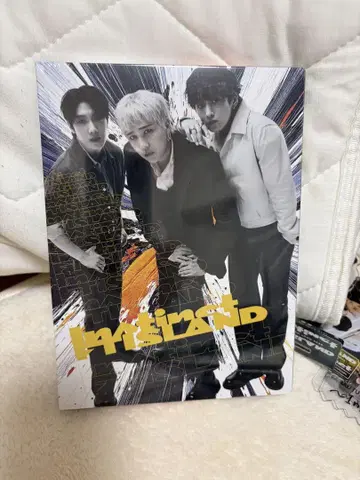 FTISLAND INSTINCT 초회 한정판 미개봉