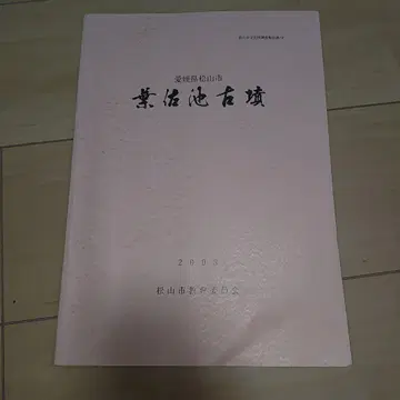 하사지 고분 발굴 조사 보고서