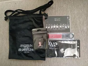 &TEAM AWAKEN THE BLOODLINE ENCORE 업그레이드