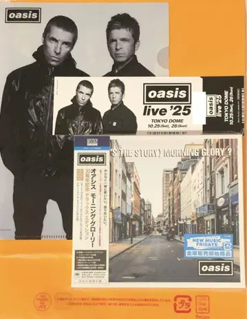 도쿄 돔 한정판 oasis 시리얼 넘버 메모리얼 티켓 파일