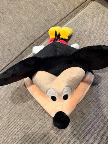 팬캡 디즈니랜드 시 Disney