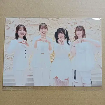 HAGANE 브로마이드 5장 세트 미사용 새상품