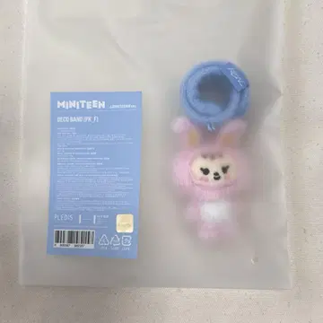 SEVENTEEN 미니틴 라무