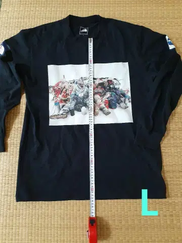 THE NORTH FACE NT82230 블랙 L