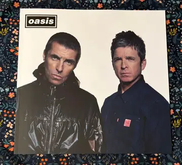 Oasis 팜플렛