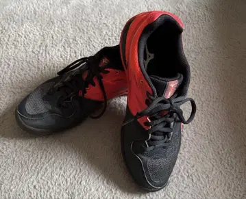 미즈노 테니스화 웨이브 스파크 WIDE OC 24cm