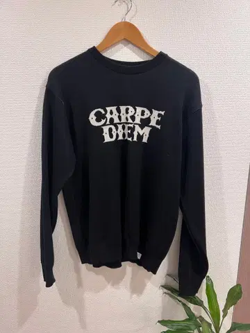 Carpe Diem x BEDWIN 니트 N3