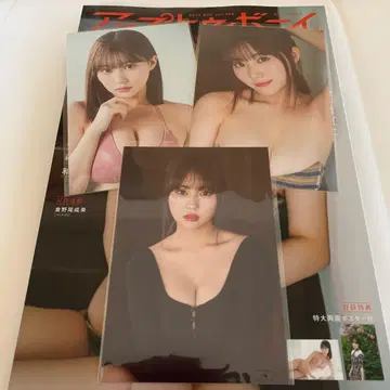 다나카 미쿠 엽서 3장 업투보이 2025년 12월호