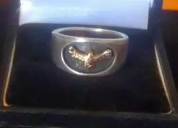 레어 빈티지 10K 이글 반지 실버925 인디언