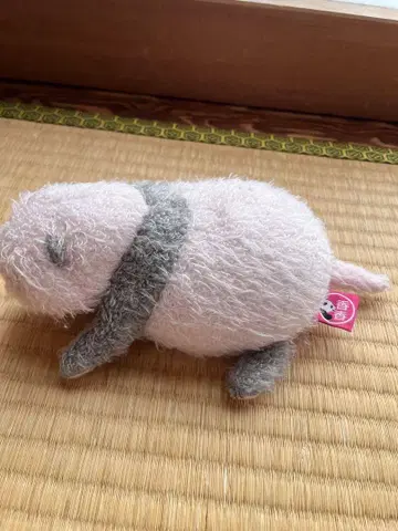 샹샹() 봉제 인형 생후 10일째