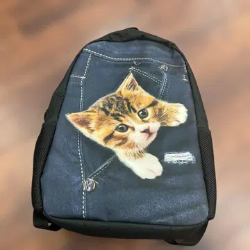 고양이 프린트 백팩 백팩