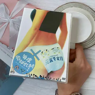 매번 소란스럽습니다 II DVD (8매 세트)