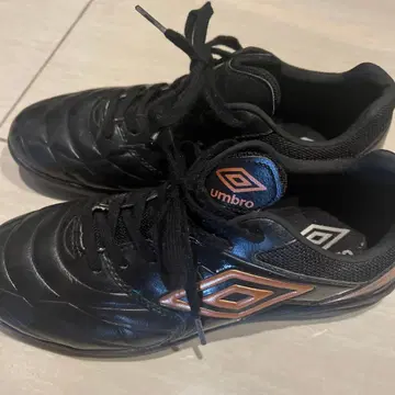 Umbro 블랙 브라운 골드 축구 트레이닝 슈즈 25.5cm