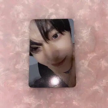 RIIZE 원빈 everline 럭키 드로우 트레이딩 카드