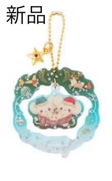 [레어] 포켓몬 센터 크리스마스 2024 아크릴 오너먼트 이카네즈미