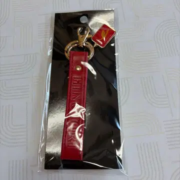 긴테츠 히노토리 HINOTORI 키링