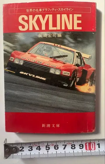 SKYLINE 오카자키 히로시 편 신초 문고