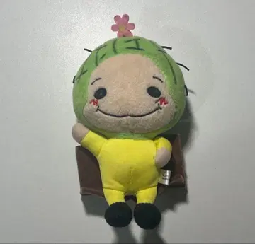 치넨 유리 사보넨 쟝푸 9푸