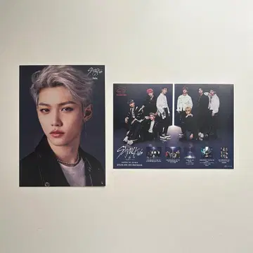 StrayKids 필릭스 플라이어