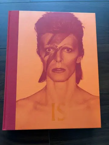 DAVID BOWIE IS INSIDE