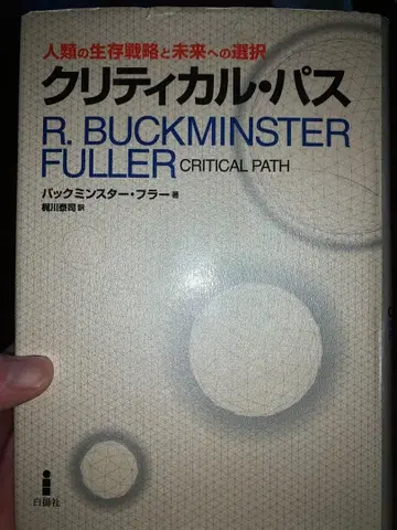 크리티컬 패스 : 인류의 생존 전략과 미래에 대한 선택