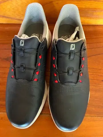FootJoy 골프화 블랙
