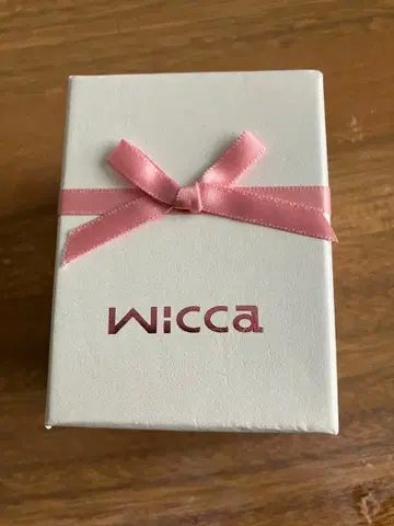 Wicca 실버 손목시계