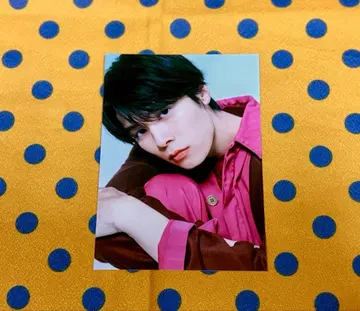 하기와라 리쿠 브로마이드 더 TVgenic. Vol.7 아름다운 그