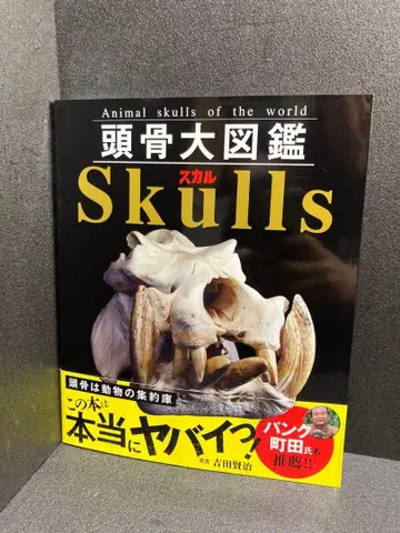 두골 대도감 Skulls