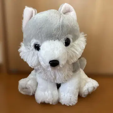 복슬복슬 늑대 원더풀 봉제 인형