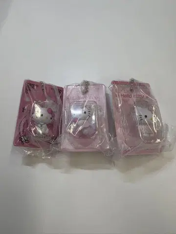 패키지 미니어처 컬렉션 키티