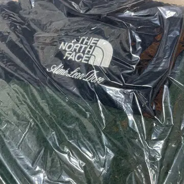 THE NORTH FACE Aime Leon Dore 다운 자켓